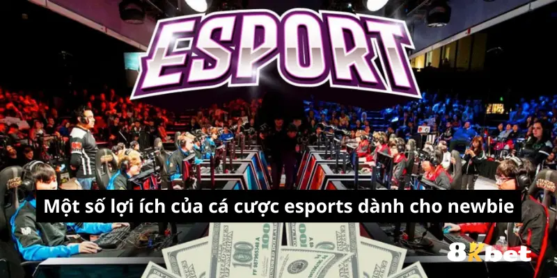 Giới Thiệu Cá Cược Esports OK365